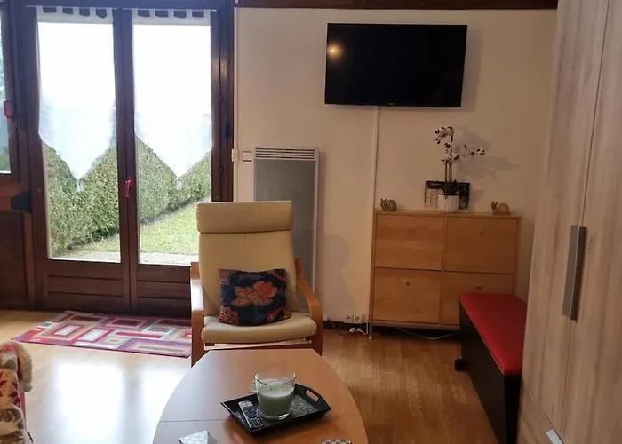 Chez Mady - Terrasse, Vue Montagne & Proche Apartmán Bussang